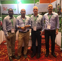 Great Success for Hazera at this Year’s AFSTA Congress 2019