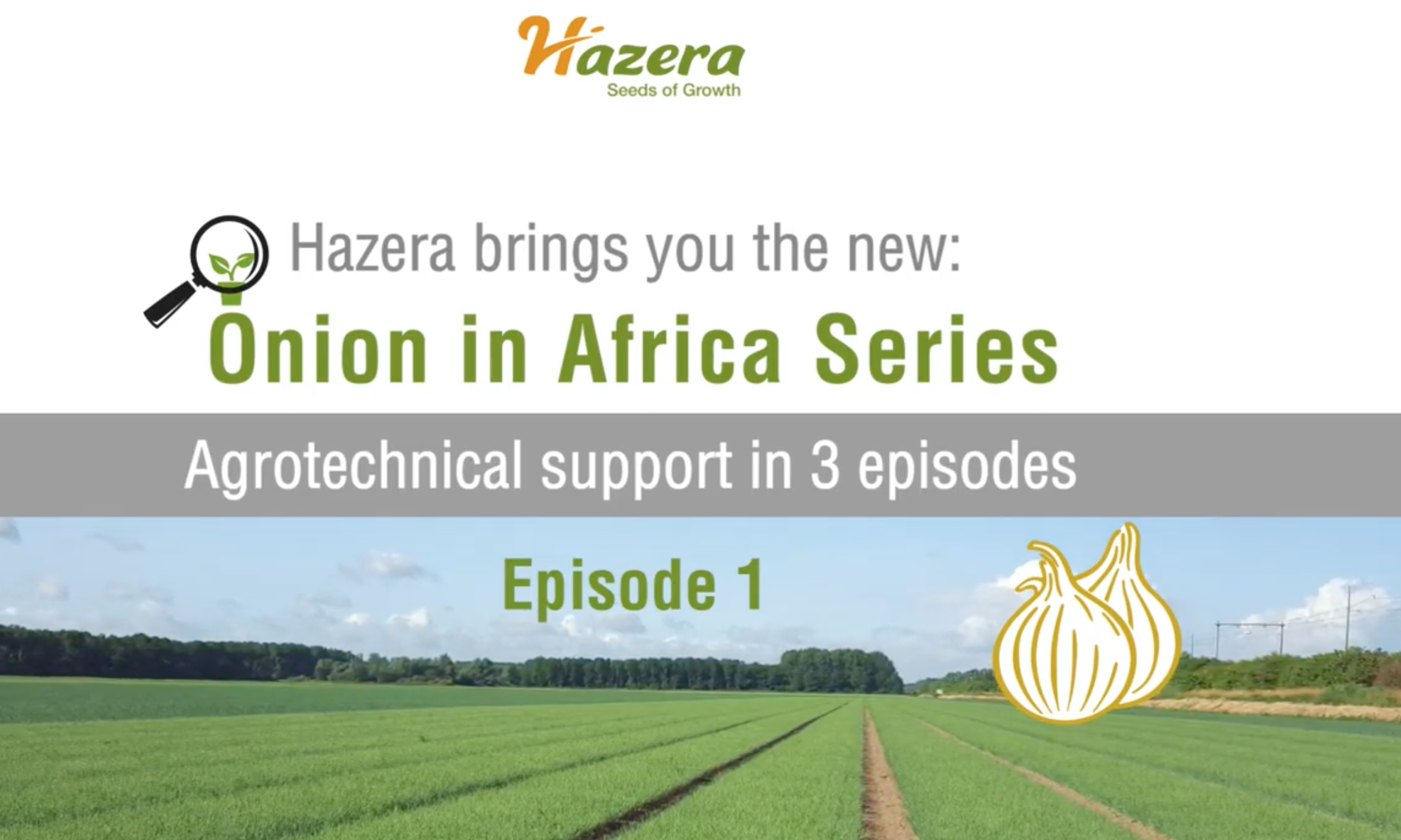 Onion in Africa – Agro Technical Support in 3 Episodes!